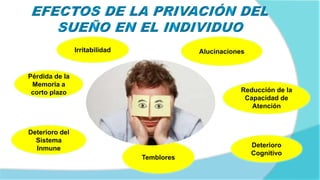 Pérdida de la
Memoria a
corto plazo
Irritabilidad Alucinaciones
Deterioro del
Sistema
Inmune
Reducción de la
Capacidad de
Atención
Temblores
Deterioro
Cognitivo
 