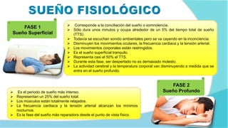 FASE 1
Sueño Superficial
 Corresponde a la conciliación del sueño o somnolencia.
 Sólo dura unos minutos y ocupa alrededor de un 5% del tiempo total de sueño
(TTS).
 Todavía se escuchan sonido ambientales pero se va cayendo en la inconciencia.
 Disminuyen los movimientos oculares, la frecuencia cardiaca y la tensión arterial.
 Los movimientos corporales están restringidos.
 Es el sueño superficial tranquilo.
 Representa casi el 50% el TTS.
 Durante esta fase, ser despertado no es demasiado molesto.
 La actividad cerebral y la temperatura corporal van disminuyendo a medida que se
entra en el sueño profundo.
 Es el periodo de sueño más intenso.
 Representan un 25% del sueño total.
 Los músculos están totalmente relajados.
 La frecuencia cardiaca y la tensión arterial alcanzan los mínimos
nocturnos.
 Es la fase del sueño más reparadora desde el punto de vista físico.
FASE 2
Sueño Profundo
 