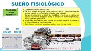 FASE REM
Sueño
Paradójico
 Representa un 25% del sueño total.
 Se llama paradójico porque el cerebro se comporta como si estuviese en vigilia
aunque el sueño es profundo y los músculos están relajados.
 Se aprecia un aumento en la actividad metabólica cerebral que se cree que se
asocia a funciones cerebrales como el proceso de memoria/aprendizaje,
estado de humor y sexualidad.
 Los sueños tienen lugar en esta fase, de modo que al despertar en fase REM
el individuo recuerda lo que ha soñado.
 Es la fase del sueño más reparadora desde el punto de vista mental.
 