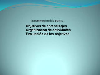 Instrumentación de la práctica
Objetivos de aprendizajes
Organización de actividades
Evaluación de los objetivos
 
