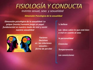 Instinto sexual, sexo y sexualidad
Dimensión Psicológica de la sexualidad
Dimensión psicológica de la sexualidad: La
psique (mente) humana juega un papel
fundamental en nuestro modo de vivir y sentir
nuestra sexualidad
Factores
Decisivos
en las relaciones
sexuales :
forma de percibir
la belleza
Las ideas sobre lo que está bien
o mal en cuanto al sexo
la personalidad
Creencias
Temperamento
Las convicciones
 