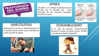APNEA
Se debe a un colapso inspiratorio de la
faringe por la perdida del tono
muscular de los músculos faríngeos,
durante el sueño.
NARCOLEPSIA
Hipersomnia crónica en edad temprana es
un síntoma de la misma. (crisis reiterada de
sueño durante la vigilia).
SONAMBULISMO
Es el acto de caminar semiconsciente
durante el sueño, sin darse cuenta de ello,
no suele recordarse el episodio.
 