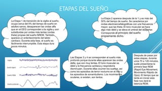 ETAPAS DEL SUEÑO
La Etapa 1 de transición de la vigilia al sueño,
ocupa cerca del 5% del tiempo de sueño en
adultos sanos, desaparecen las ondas alfa
que en el EEG corresponden a la vigilia y son
substituidas por ondas más lentas (ondas
theta) propias del sueño NREM. También
aparece un enlentecimiento del latido
cardíaco. Durante esta fase, el sueño es
fácilmente interrumpible. Esta etapa dura
pocos minutos.
La Etapa 2 aparece después de la 1 y es más del
50% del tiempo de sueño. Se caracteriza por
ondas electroencefalográficas con una frecuencia
mayor, que las theta. El tono muscular se hace
algo más débil y se eleva el umbral del despertar.
Corresponde al principio del sueño
propiamente dicho.
Las Etapas 3 y 4 se corresponden al sueño más
profundo porque durante ellas aparecen las ondas
delta, que son muy lentas. El tono muscular es
débil y la frecuencia cardiaca y respiratoria
disminuyen. Durante ellas ocurren los sueños, así
como los episodios de terror nocturno en el niño y
los episodios de sonambulismo. Los movimientos
oculares, si existen, son lentos.
Después de pasar por
estas etapas, durante
unos 70 a 120 minutos,
suele presentarse la
primera fase REM
(Rapid Eye Movement,
Movimiento Rápido de
Ojos). El tiempo que se
tarda en iniciar esta
fase nos dará la
latencia REM.
 