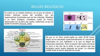 RELOJES BIOLÓGICOS
El sueño es un estado dinámico, en el que se activan e
inhiben distintas zonas del encéfalo, con las
repercusiones funcionales que se han indicado. Obedece
a un ritmo biológico, circadiano (cada 24 horas),
relacionado con el ritmo día- noche, nictemeral, al que se
ajusta el proceso (Pocock, 2005).
De por sí, el ritmo sueño-vigilia es cada 25-29 horas,
según se ha estudiado experimentalmente en voluntarios
encerrados en una habitación a la que no llegan las
influencias exteriores. Pero la presión del sueño aumenta
en torno a las dos de la tarde, lo que explica que sea
fisiológico sentir sueño después de comer. La voluntad
puede evitar el dormir después de comer.
 