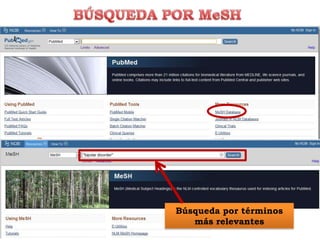 Búsqueda por términos
   más relevantes
 