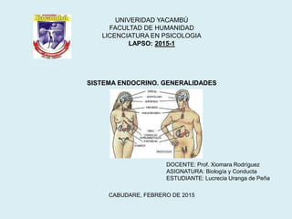 SISTEMA ENDOCRINO. GENERALIDADES
UNIVERIDAD YACAMBÚ
FACULTAD DE HUMANIDAD
LICENCIATURA EN PSICOLOGIA
LAPSO: 2015-1
CABUDARE, FEBRERO DE 2015
DOCENTE: Prof. Xiomara Rodríguez
ASIGNATURA: Biología y Conducta
ESTUDIANTE: Lucrecia Uranga de Peña
 