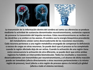 La transmisión de la información dentro del cerebro así como sus aferencias se produce
mediante la actividad de sustancias denominadas neurotransmisores, sustancias capaces
de provocar la transmisión del impulso nervioso. Estos neurotransmisores se reciben en
las dendritas y se emiten en los axones. El cerebro usa la energía bioquímica procedente
del metabolismo celular como desencadenante de las reacciones neuronales.
Cada neurona pertenece a una región metabólica encargada de compensar la deficiencia
o exceso de cargas en otras neuronas. Se puede decir que el proceso se ha completado
cuando la región afectada deja de ser activa. Cuando la activación de una región tiene
como consecuencia la activación de otra diferente, se puede decir que entre ambas
regiones ha habido un intercambio biomolecular. Todos los resultados y reacciones
desencadenantes son transmitidos por neurotransmisores, y el alcance de dicha reacción
puede ser inmediata (afecta directamente a otras neuronas pertenecientes a la misma
región de proceso), local (afecta a otra región de proceso ajena a la inicial) y/o global
(afecta a todo el sistema nervioso).
 