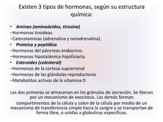 Existen 3 tipos de hormonas, según su estructura
química:
• Aminas (aminoácidos, tirosina)
−Hormonas tiroideas.
−Catecolaminas (adrenalina y noradrenalina).
• Proteica y peptídica
−Hormonas del páncreas endocrino.
−Hormonas hipotalámica-hipofisiaria.
• Esteroides (colesterol)
−Hormonas de la corteza suprarrenal
−Hormonas de las glándulas reproductoras
−Metabolitos activos de la vitamina D
Las dos primeras se almacenan en los gránulos de secreción. Se liberan
por un mecanismo de exocitosis. Las demás forman
compartimentos de la célula y salen de la célula por medio de un
mecanismo de transferencia simple hacia la sangre y se transportan de
forma libre, o unidas a globulinas específicas.
 