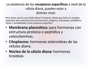 La existencia de los receptores específicos a nivel de la
célula diana, pueden estar a
distinto nivel:
Pero antes, qué es una célula Diana? Cualquier célula que tiene un receptor
específico que reacciona con una hormona, antígeno, anticuerpo, antibiótico,
célula T sensibilizada u otra sustancia específica.
• Membrana plasmática: para hormonas con
estructura proteica o peptídica y
catecolaminas.
• Citoplasma: hormonas esteroideas de las
células diana.
• Núcleo de la célula diana: hormonas
tiroideas.
 
