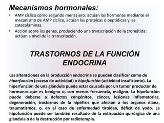 Mecanismos hormonales:
• AMP cíclico como segundo mensajero: actúan las hormonas mediante el
mecanismo de AMP cíclico, actúan las proteicas o peptídicas y las
catecolaminas.
• Acción sobre los genes, produciendo una transcripción de la cromátida:
actúan a nivel de la transcripción.
TRASTORNOS DE LA FUNCIÓN
ENDOCRINA
Las alteraciones en la producción endocrina se pueden clasificar como de
hiperfunción (exceso de actividad) o hipofunción (actividad insuficiente). La
hiperfunción de una glándula puede estar causada por un tumor productor de
hormonas que es benigno o, con menos frecuencia, maligno. La hipofunción
puede deberse a defectos congénitos, cáncer, lesiones inflamatorias,
degeneración, trastornos de la hipófisis que afectan a los órganos diana,
traumatismos, o, en el caso de enfermedad tiroidea, déficit de yodo. La
hipofunción puede ser también resultado de la extirpación quirúrgica de una
glándula o de la destrucción por radioterapia.
 