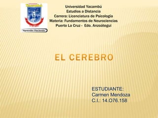 ESTUDIANTE:
Carmen Mendoza
C.I.: 14.O76.158
Universidad Yacambú
Estudios a Distancia
Carrera: Licenciatura de Psicología
Materia: Fundamentos de Neurociencias
Puerto La Cruz - Edo. Anzoátegui
 