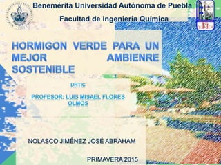 NOLASCO JIMÉNEZ JOSÉ ABRAHAM
PRIMAVERA 2015
Benemérita Universidad Autónoma de Puebla
Facultad de Ingeniería Química
 