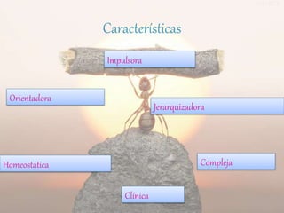 Características
Impulsora
Orientadora
Jerarquizadora
Homeostática
Clínica
Compleja
 