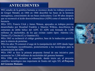 El estudio de la genética humana se reconoce desde los trabajos pioneros
de Gregor Mendel, en 1866 en 1866 describió las bases de la herencia
monogénica, conocimiento de sus bases moleculares. Casi 80 años después
que se reconoció al ácido desoxirribonucleico (ADN) como el material de la
herencia.
En 1953, Francis Crick y James Watson, apoyados en trabajos previos
desarrollados por Rosalind Franklin y Maurice Wilkins, describieron la
estructura de doble hélice del ADN. El ADN está formado de 3,200
millones de núcleotidos, de los que existan cuatro tipos: Adenina (A),
Timina (T), Citocina (C) y Guanina (G).
En 1963 se esclareció el código genético, base de la traducción genética
para la síntesis de proteínas.
En los años 70 comenzó el auge de la manipulación del ADN dando lugar
a las tecnologías recombinantes, posteriormente a las tecnologías para la
secuenciación del ADN.
En 1985 se hizo la primera propuesta formal de una iniciativa para
secuenciar los 3,200 millones de nucleótidos del genoma humano.
En 1990, esta iniciativa se consolidó, dando inicio así, al proyecto
científico tecnológico mas importante de finales del siglo XX: el Proyecto
del Genoma Humano.
ANTECEDENTES
 
