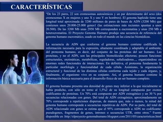 CARACTERÍSTICAS
“De los 23 pares, 22 son cromosomas autosómicos y un par determinante del sexo (dos
cromosomas X en mujeres y uno X y uno Y en hombres). El genoma haploide tiene una
longitud total aproximada de 3200 millones de pares de bases de ADN (3200 Mb) que
contienen unos 20.000-25.000 genes1 (las estimaciones más recientes apuntan a unos
20.500). De las 3200 Mb unas 2950 Mb corresponden a eucromatina y unas 250 Mb a
heterocromatina. El Proyecto Genoma Humano produjo una secuencia de referencia del
genoma humano eucromático, usado en todo el mundo en las ciencias biomédicas.
La secuencia de ADN que conforma el genoma humano contiene codificada la
información necesaria para la expresión, altamente coordinada y adaptable al ambiente,
del proteoma humano, es decir, del conjunto de las proteínas del ser humano. Las
proteínas, y no el ADN, son las principales biomoléculas efectoras; poseen funciones
estructurales, enzimáticas, metabólicas, reguladoras, señalizadoras..., organizándose en
enormes redes funcionales de interacciones. En definitiva, el proteoma fundamenta la
particular morfología y funcionalidad de cada célula. Asimismo, la organización
estructural y funcional de las distintas células conforma cada tejido y cada órgano, y,
finalmente, el organismo vivo en su conjunto. Así, el genoma humano contiene la
información básica necesaria para el desarrollo físico de un ser humano completo.
El genoma humano presenta una densidad de genes muy inferior a la que inicialmente se
había predicho, con sólo en torno al 1,5%2 de su longitud compuesta por exones
codificantes de proteínas. Un 70% está compuesto por ADN extragénico y un 30 % por
secuencias relacionadas con genes. Del total de ADN extragénico, aproximadamente un
70% corresponde a repeticiones dispersas, de manera que, más o menos, la mitad del
genoma humano corresponde a secuencias repetitivas de ADN. Por su parte, del total de
ADN relacionado con genes se estima que el 95% corresponde a ADN no codificante:
pseudogenes, fragmentos de genes, intrones o secuencias UTR, entre otros.” Fuente
disponible en :http://elpreyecto-genomahumano.blogspot.com/2011/05/caracteristicas.html
 