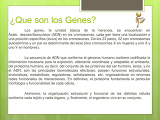 ¿Que son los Genes?
Los genes, la unidad básica de la herencia, se encuentran en
Ácido desoxirribonucleico (ADN) en los cromosomas; cada gen tiene una localización o
una posición específica (locus) en los cromosomas. De los 23 pares, 22 son cromosomas
autosómicos y un par es determinante del sexo (dos cromosomas X en mujeres y uno X y
uno Y en hombres).
La secuencia de ADN que conforma el genoma humano contiene codificada la
información necesaria para la expresión, altamente coordinada y adaptable al ambiente,
del proteoma humano, es decir, del conjunto de las proteínas del ser humano, éstas, y no
el ADN, son las principales biomoléculas efectoras; poseen funciones estructurales,
enzimáticas, metabólicas, reguladoras, señalizadoras, etc, organizándose en enormes
redes funcionales de interacciones. En definitiva, el proteoma fundamenta la particular
morfología y funcionalidad de cada célula.
Asimismo, la organización estructural y funcional de las distintas células
conforma cada tejido y cada órgano, y, finalmente, el organismo vivo en su conjunto.
 