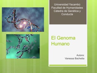 El Genoma
Humano
Autora:
Vanessa Bachetta
Universidad Yacambú
Facultad de Humanidades
Cátedra de Genética y
Conducta
 
