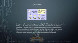 Oliver Marcel Vargas Nuñez Ing. David Enrique Mendoza Gutierrez
Ejecutables
Gran parte de los virus forman parte del código de ficheros ejecutables de extensión
.EXE y .COM. Estos virus se ejecutan cuando lo hace el fichero en el que se
encuentran y utilizan diversos medios para propagarse. Los virus incluidos en
ficheros ejecutables no son un tipo puro de virus sino que pueden tener además
alguna de las características de otros tipos de virus. Por ejemplo hay virus
ejecutables que se propagan por el correo como los virus tipo gusano.
 