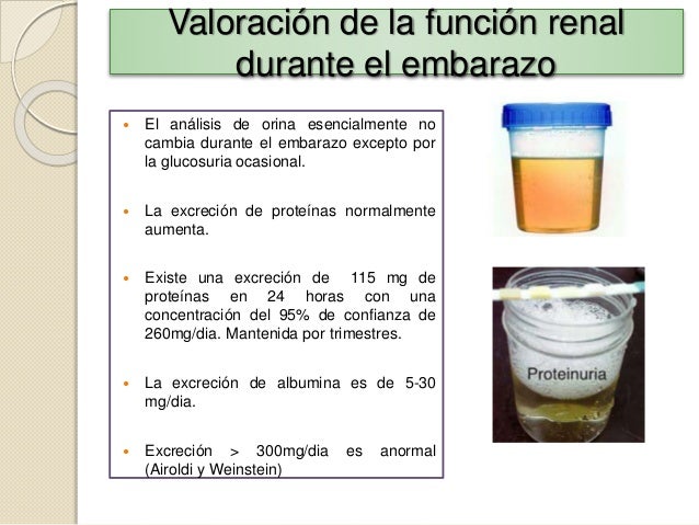 Tarea50 Jimr Nefropatias Y Alt De La Via Urinaria Y Y Embarazo