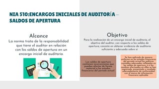 NIAS- EVIDENCIAS DE AUDITORIA