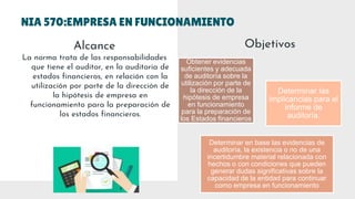 NIAS- EVIDENCIAS DE AUDITORIA