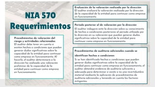 NIAS- EVIDENCIAS DE AUDITORIA