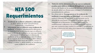 NIAS- EVIDENCIAS DE AUDITORIA