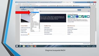 Elegimos busqueda MeSH
 