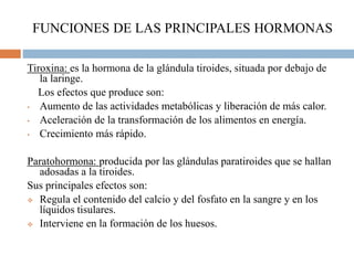 FUNCIONES DE LAS PRINCIPALES HORMONAS
Tiroxina: es la hormona de la glándula tiroides, situada por debajo de
la laringe.
Los efectos que produce son:
• Aumento de las actividades metabólicas y liberación de más calor.
• Aceleración de la transformación de los alimentos en energía.
• Crecimiento más rápido.
Paratohormona: producida por las glándulas paratiroides que se hallan
adosadas a la tiroides.
Sus principales efectos son:
 Regula el contenido del calcio y del fosfato en la sangre y en los
líquidos tisulares.
 Interviene en la formación de los huesos.
 