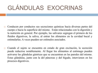 GLÁNDULAS EXOCRINAS
 Conducen por conductos sus secreciones químicas hacia diversas partes del
cuerpo o hacia la superficie del mismo. Están relacionadas con la digestión y
la nutrición en general. Por ejemplo, las salivares segregan el primero de los
fluidos digestivos, la saliva, al entrar los alimentos en la cavidad bucal y
estimularlas. A veces pueden ser estímulos asociados.
 Cuando el sujeto se encuentra en estado de gran excitación, la secreción
puede reducirse notablemente. Al llegar los alimentos al estómago pueden
activarse las glándulas gástricas que se encuentran en las paredes del mismo.
Estas glándulas, junto con la del páncreas y del hígado, intervienen en los
procesos digestivos.
 