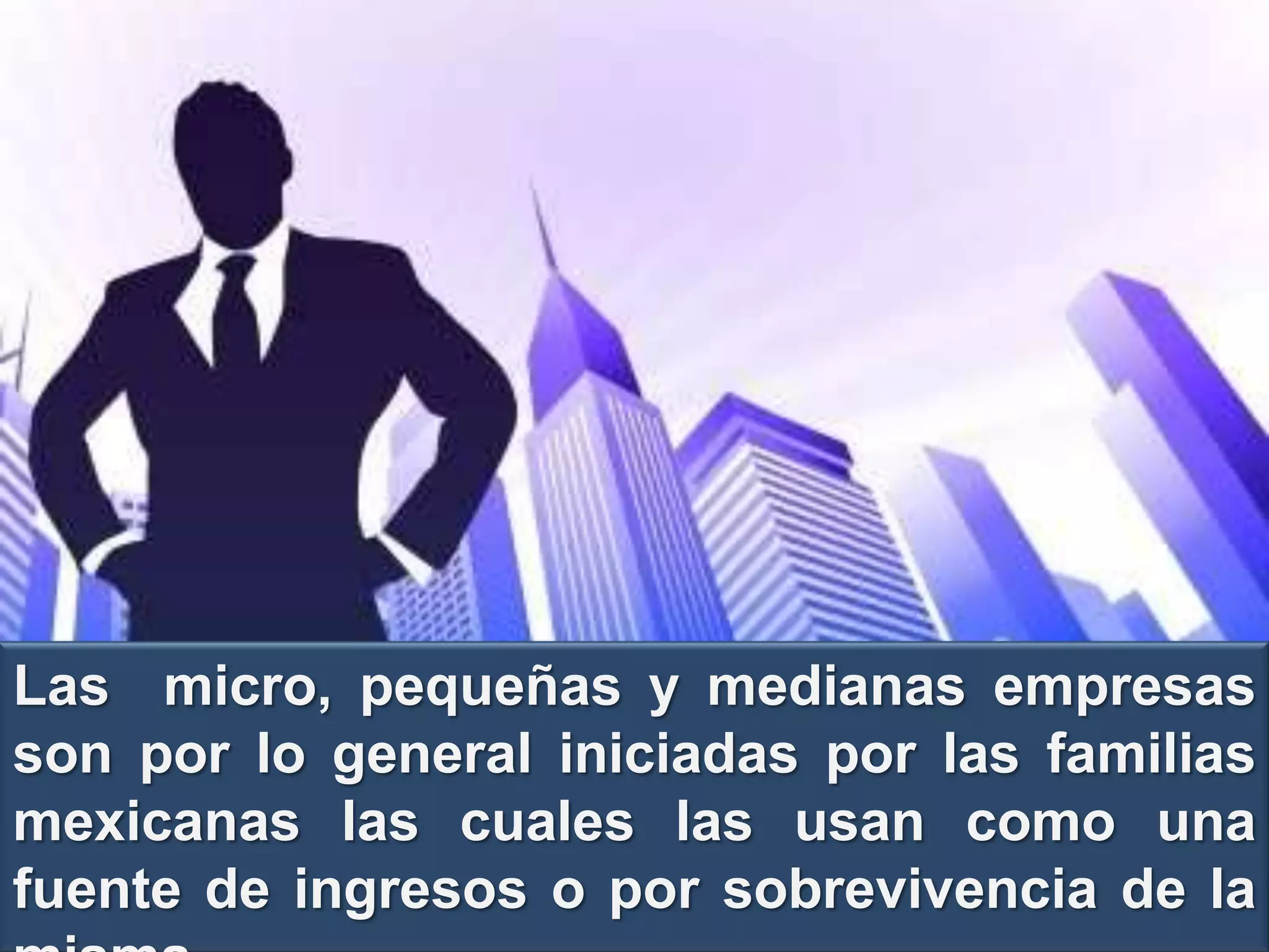 La importancia de las pequeñas y medianas empresas en México | PPT