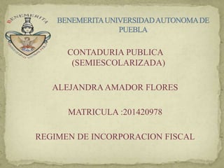 CONTADURIA PUBLICA 
(SEMIESCOLARIZADA) 
ALEJANDRA AMADOR FLORES 
MATRICULA :201420978 
REGIMEN DE INCORPORACION FISCAL 
 