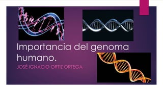 Importancia del genoma 
humano. 
JOSÉ IGNACIO ORTIZ ORTEGA 
 