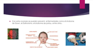  Con estos avanzes se pueden prevenir enfermedades como el síndrome 
de Down, el Daltonismo, el síndrome de patau, entre otros.. 
 