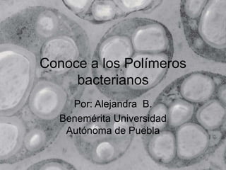 Conoce a los Polímeros
bacterianos
Por: Alejandra B.
Benemérita Universidad
Autónoma de Puebla
 