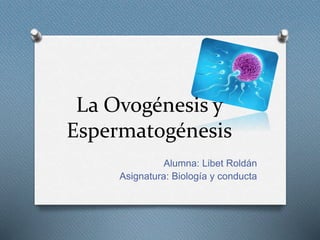 La Ovogénesis y
Espermatogénesis
Alumna: Libet Roldán
Asignatura: Biología y conducta
 
