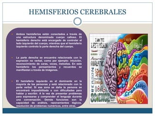 HEMISFERIOS CEREBRALES
 Ambos hemisferios están conectados a través de
una estructura denominada cuerpo calloso. El
hemisferio derecho está encargado de controlar el
lado izquierdo del cuerpo, mientras que el hemisferio
izquierdo controla la parte derecha del cuerpo.
 La parte derecha se encuentra relacionada con la
expresión no verbal, como por ejemplo: intuición,
reconocimiento de caras, voces, melodías. En este
hemisferio los pensamientos y recuerdos se
manifiestan a través de imágenes.
 El hemisferio izquierdo es el dominante en la
mayoría de las personas y está relacionado con la
parte verbal. Si esa zona se daña la persona se
encontrará imposibilitada o con dificultades para
hablar y escribir. A la vez de presentar problemas
para expresarse y comprender el lenguaje durante
una conversación. Demás funciones son la
capacidad de análisis, razonamientos lógicos,
resolución de problemas numéricos, entre otras.
 