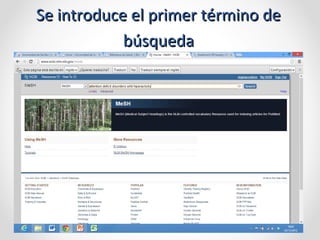 Se introduce el primer término de
            búsqueda
 