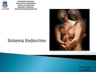 Sistema Endocrino
UNIVERSIDAD YACAMBU
FACULTAD DE HUMANIDADES
ESCUELA DE PSICOLOGIA
BIOLOGÍA Y CONDUCTA
PROFESOR XIOMARA RODRIGUEZ
YURANCY VASQUEZ
C.I. 7.425.730
BARQUISIMETO-LARA
 