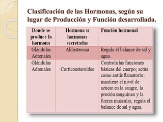 Clasificación de las Hormonas, según su
lugar de Producción y Función desarrollada.
 