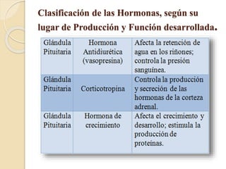 Clasificación de las Hormonas, según su
lugar de Producción y Función desarrollada.
 