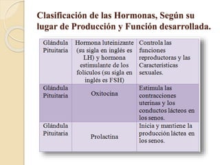 Clasificación de las Hormonas, Según su
lugar de Producción y Función desarrollada.
 
