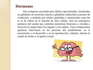 Hormonas
Son sustancias secretadas por células especializadas, localizadas
en glándulas de secreción interna o glándulas endócrinas (carentes de
conductos), o también por células epiteliales e intersticiales cuyo fin
es el de influir en la función de otras células. Son las mensajeras
químicos del cuerpo que controlan numerosas funciones y circulan a
través de la sangre hacia los órganos y los tejidos. Estos componentes
químicos intervienen en los procesos del metabolismo, en el
crecimiento y el desarrollo y en la reproducción. Además, afectan al
estado de ánimo y al apetito sexual.
 