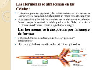 Las Hormonas se almacenan en las
Células:
 ·Estructura proteica, peptídica y las catecolaminas, se almacenan en
los gránulos de secreción. Se liberan por un mecanismo de exocitosis
 · Los esteroides y las células tiroideas, no se almacenan en gránulos,
forman compartimentos de la célula y salen de la célula por medio de
un mecanismo de transferencia simple hacia la sangre
Las hormonas se transportan por la sangre
de forma:
 De forma libre: los de estructura peptídica y proteica y
catecolaminas.
 · Unidas a globulinas específicas: las esteroideas y tiroideas.
 
