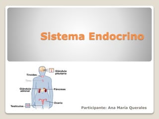 Sistema Endocrino
Participante: Ana María Querales
 