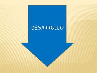 DESARROLLO