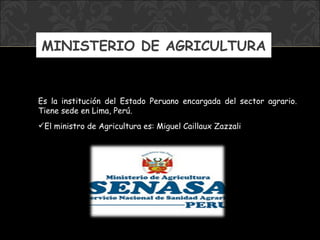 MINISTERIO DE AGRICULTURA Es la institución del Estado Peruano encargada del sector agrario. Tiene sede en Lima, Perú. El ministro  de Agricultura  es: Miguel Caillaux Zazzali 