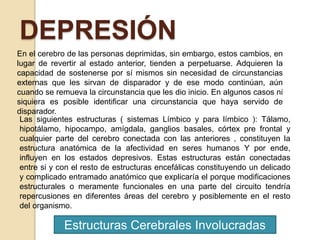 Estructuras Cerebrales Involucradas
DEPRESIÓN
En el cerebro de las personas deprimidas, sin embargo, estos cambios, en
lugar de revertir al estado anterior, tienden a perpetuarse. Adquieren la
capacidad de sostenerse por sí mismos sin necesidad de circunstancias
externas que les sirvan de disparador y de ese modo continúan, aún
cuando se remueva la circunstancia que les dio inicio. En algunos casos ni
siquiera es posible identificar una circunstancia que haya servido de
disparador.
Las siguientes estructuras ( sistemas Límbico y para límbico ): Tálamo,
hipotálamo, hipocampo, amígdala, ganglios basales, córtex pre frontal y
cualquier parte del cerebro conectada con las anteriores , constituyen la
estructura anatómica de la afectividad en seres humanos Y por ende,
influyen en los estados depresivos. Estas estructuras están conectadas
entre si y con el resto de estructuras encefálicas constituyendo un delicado
y complicado entramado anatómico que explicaría el porque modificaciones
estructurales o meramente funcionales en una parte del circuito tendría
repercusiones en diferentes áreas del cerebro y posiblemente en el resto
del organismo.
 