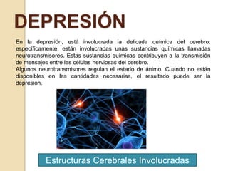 Estructuras Cerebrales Involucradas
DEPRESIÓN
En la depresión, está involucrada la delicada química del cerebro:
específicamente, están involucradas unas sustancias químicas llamadas
neurotransmisores. Estas sustancias químicas contribuyen a la transmisión
de mensajes entre las células nerviosas del cerebro.
Algunos neurotransmisores regulan el estado de ánimo. Cuando no están
disponibles en las cantidades necesarias, el resultado puede ser la
depresión.
 