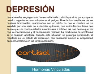 DEPRESIÓN
Hormonas Vinculadas
Las adrenales segregan una hormona llamada cortisol que sirve para preparar
nuestro organismo para enfrentarse al peligro. Uno de los resultados de los
cambios hormonales relacionados con el estrés es que el cerebro se ve
invadido por una serie de sustancias químicas, que estimulan las áreas que
tienen que ver con los estados emocionales e inhiben las que tienen que ver
con la concentración y el pensamiento racional. La producción de serotonina
se ve también afectada. Cuando esta situación se prolonga demasiado, el
resultado es un estado de depresión, con cansancio crónico e incapacidad
para concentrarse en las tareas cotidianas.
 